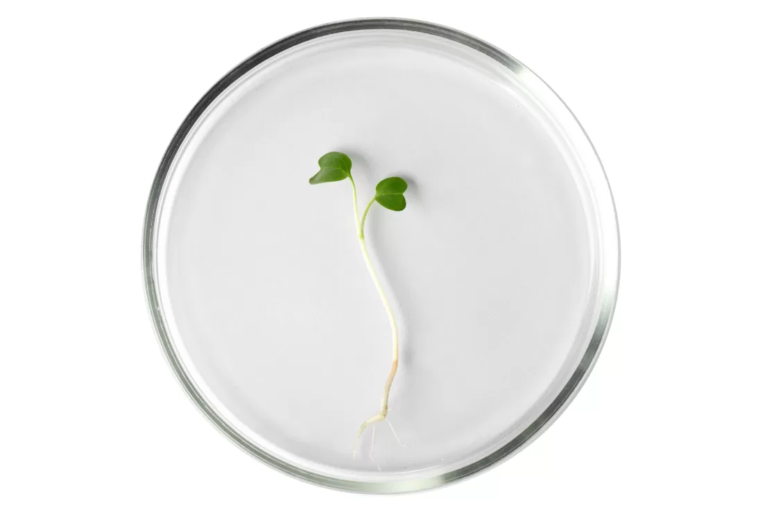 shutterstock_266417831
