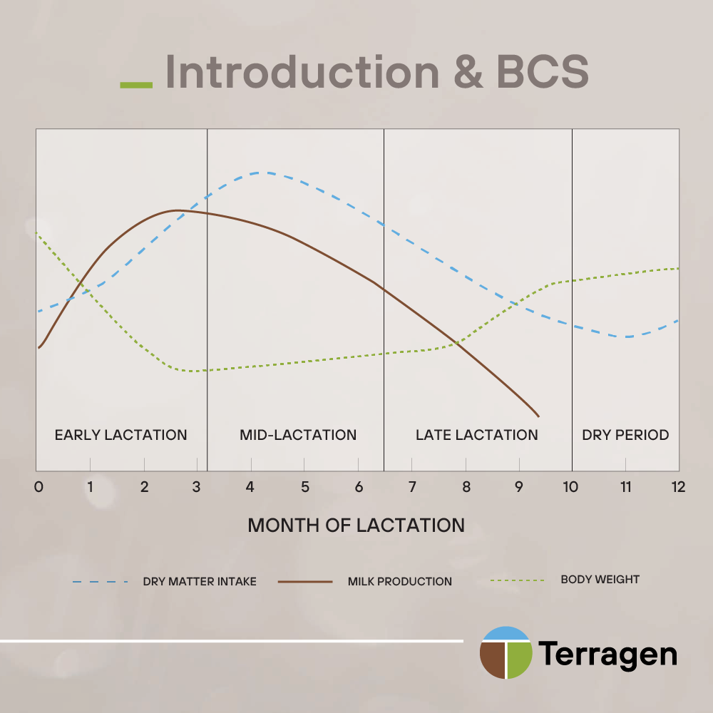 thumbnail_1.Introduction & BCS