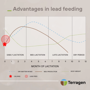 thumbnail_2.Advantages in Lead Feeding