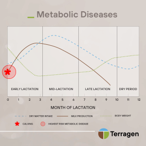 thumbnail_4.Metabolic Diseases