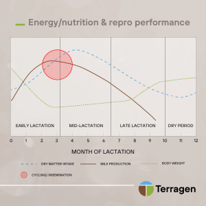 thumbnail_5.Energy Nutrition