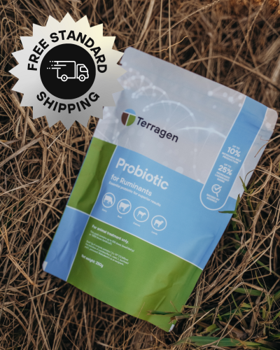 Terragen Probiotic for Ruminants 250g (500 doses) - Image 2