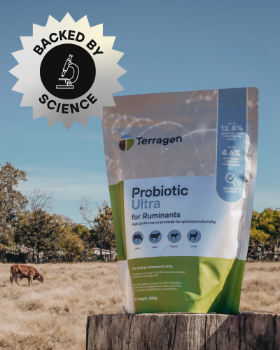 Terragen Probiotic Ultra for Ruminants 500g (10,000 doses) - Image 3