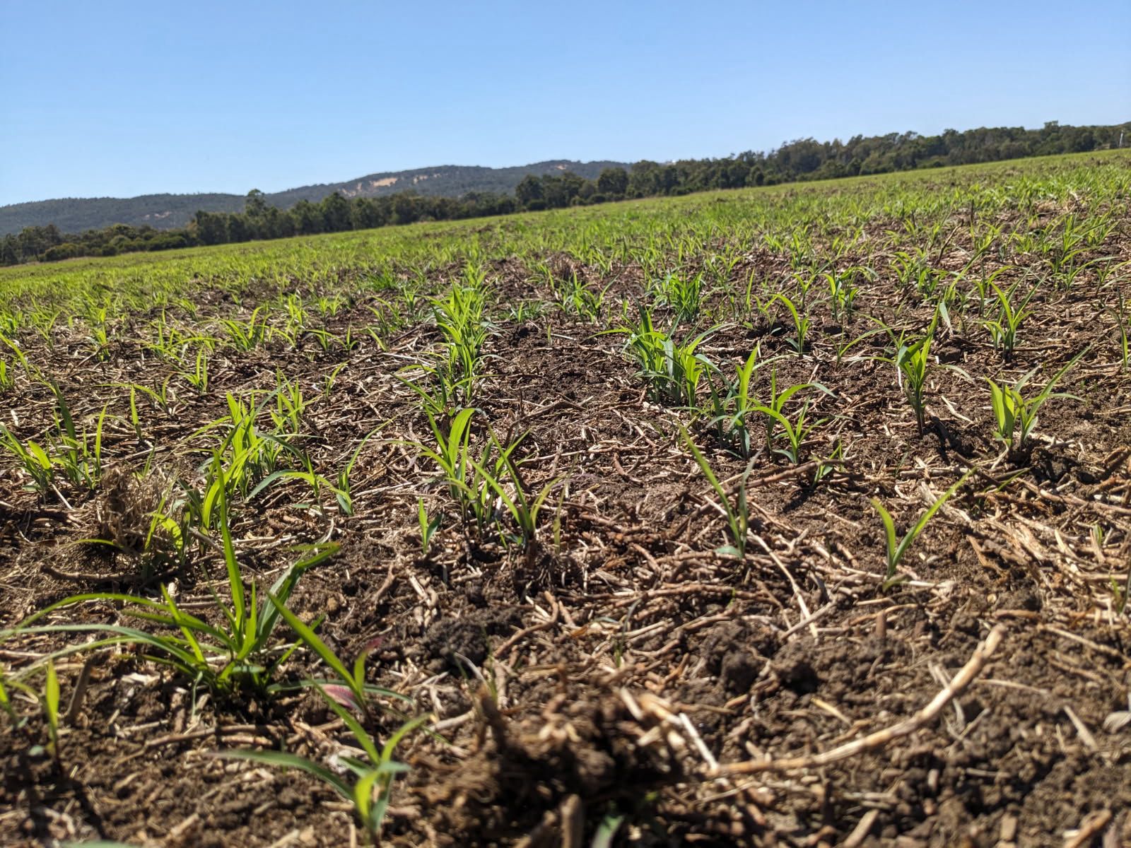 PHOTO-2026-01-07-14-54-49