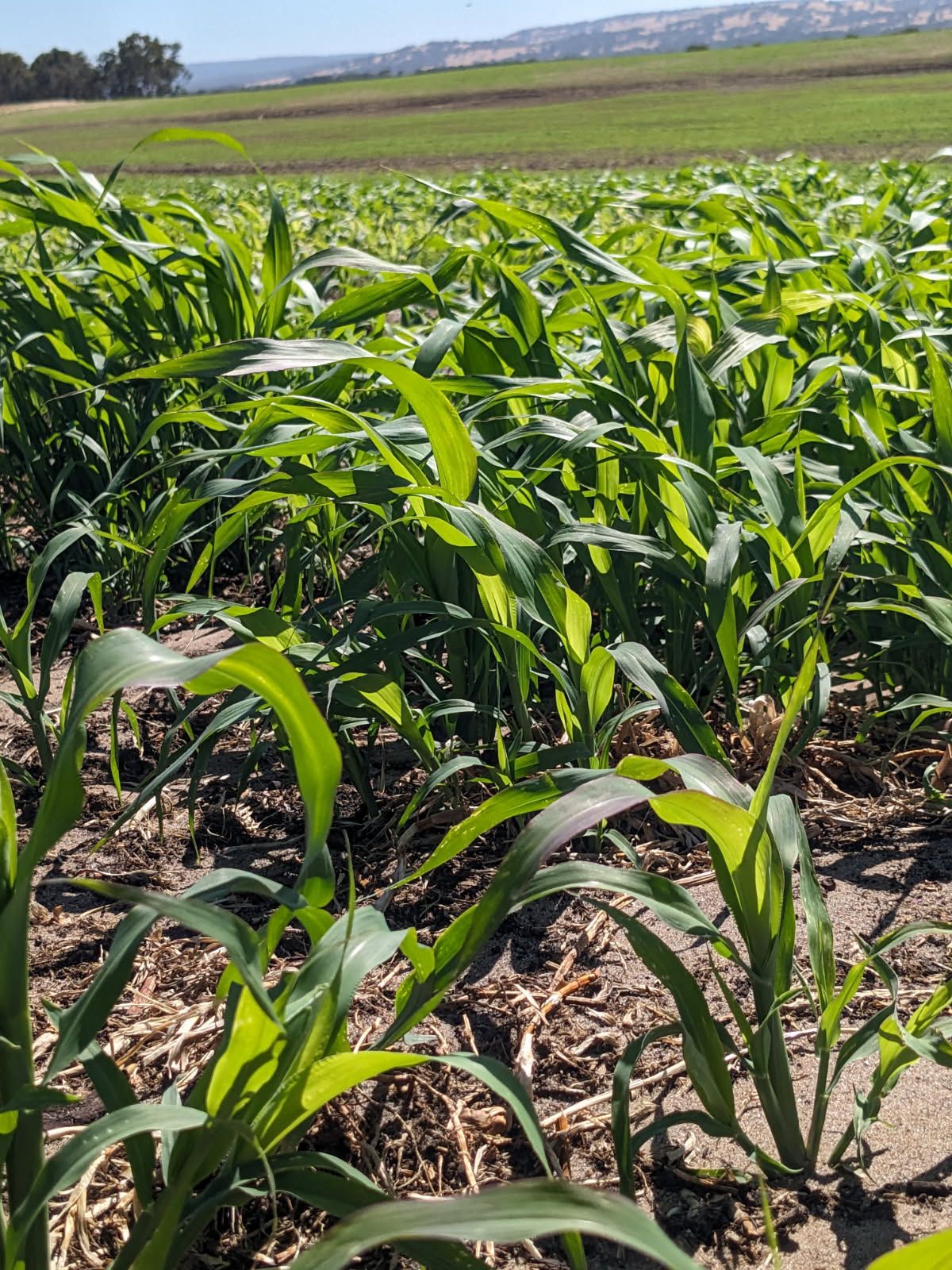 PHOTO-2026-01-07-14-54-50