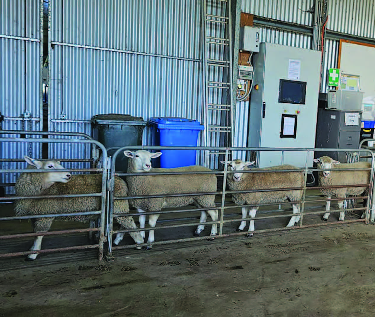 TPR-lamb-brochure-AU-WEB