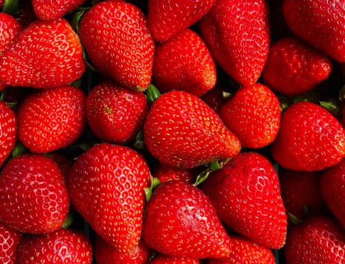 2019 Gowinta Farms Strawberry Trial